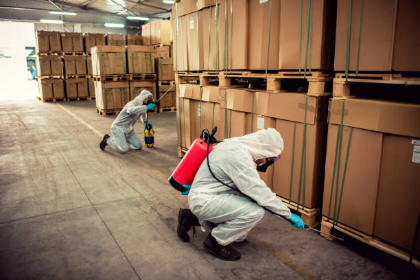 Best Ant Control Services  in Poteau, OK