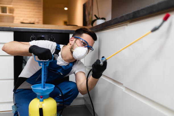 Best Bed Bug Extermination  in Poteau, OK