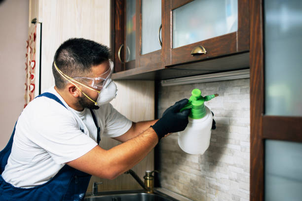  Poteau, OK Pest Control Pros