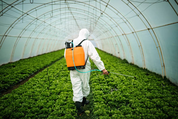 Best Commercial Pest Control Services  in Poteau, OK