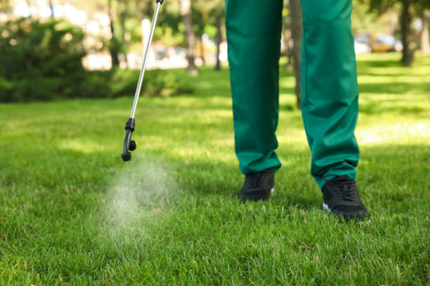 Best Exterminator Services  in Poteau, OK