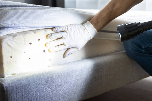 Pest Control for Restaurants in Poteau, OK