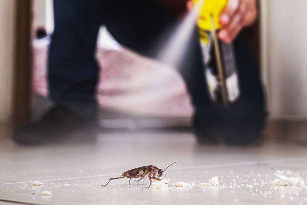 Professional Pest Control in Poteau, OK