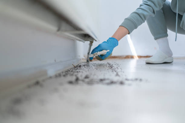 Poteau, OK Pest Control Company
