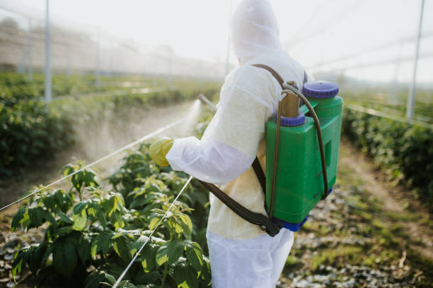 Best Residential Pest Control  in Poteau, OK
